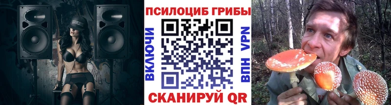 Купить где  Данков  Псилоцибиновые грибы мухоморы 