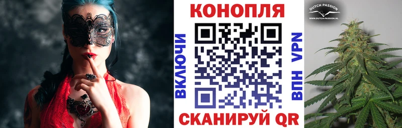 Канабис сатива Данков